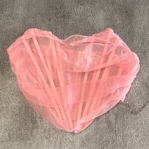 Wildcat Sheer Mesh Blush Corset